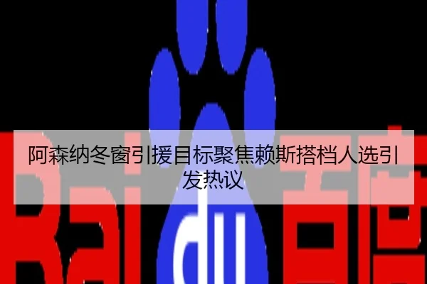 阿森纳冬窗引援目标聚焦赖斯搭档人选引发热议